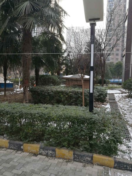 东尚小区(一期),金康路46号-西安东尚小区(一期)二手房,租房,房价