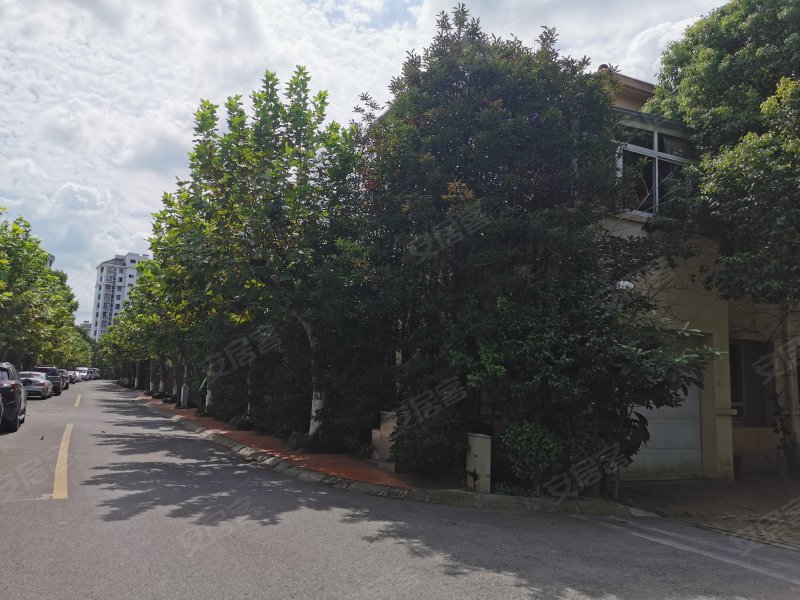 康桥半岛(1168弄) 