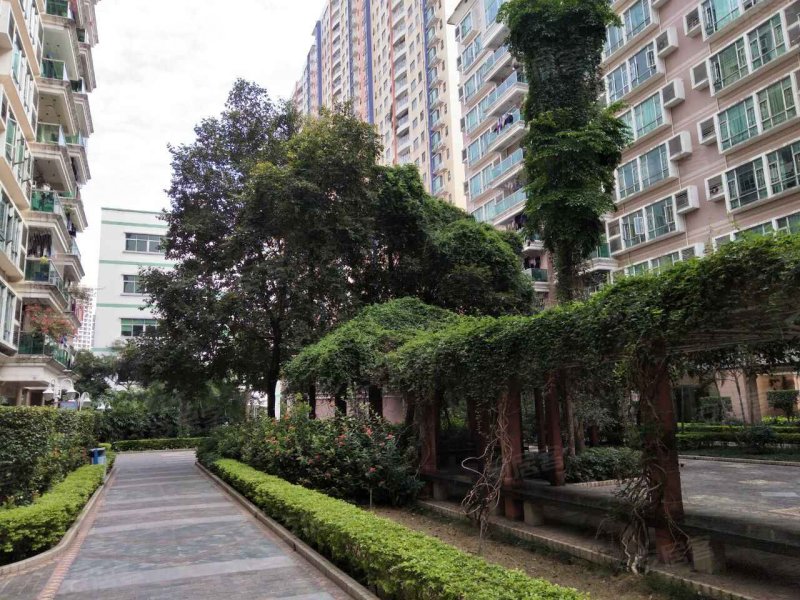 聚龙湾花园,裕兴路-东莞聚龙湾花园二手房,租房,房价-东莞安居客