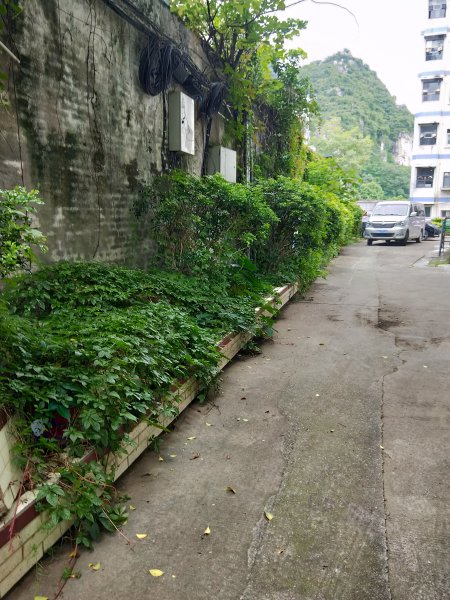 乐群路南一巷50号大院,乐群路南一巷50号-柳州乐群路南一巷50号大院