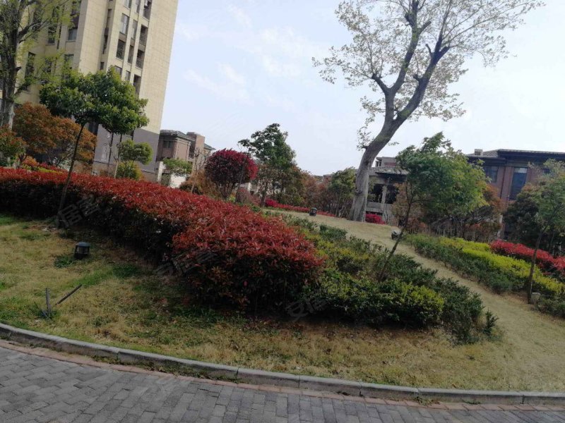 爱伦坡,广州路,近马陵山路-临沂爱伦坡二手房,租房,房价-临沂安居客