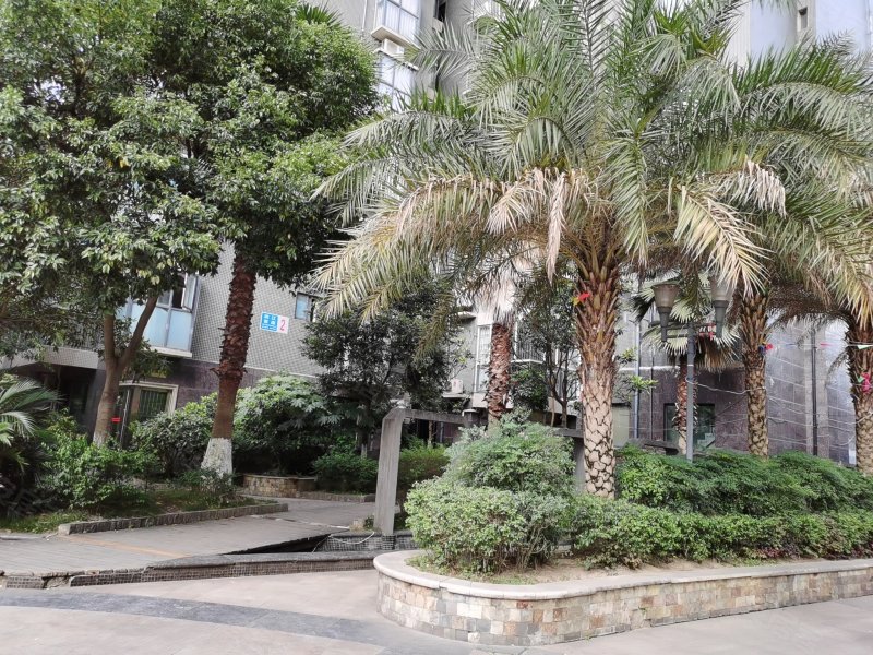 滨江首座(顺庆),滨江中路一段407号-南充滨江首座(顺庆)二手房,租房