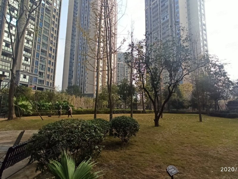 双福时代广场荣耀
