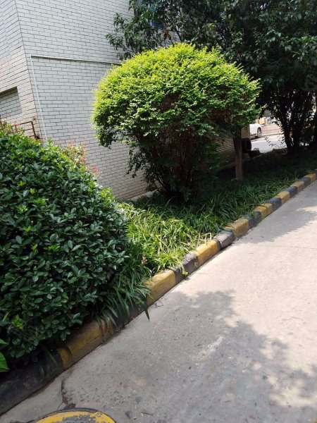 天府花园(2期),蓝天路38号-成都天府花园(2期)二手房,租房,房价-成都