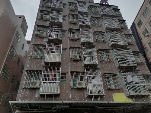 东平横岗西路1号自建房,东平横岗西路1号 - 广州东平横岗西路1号自