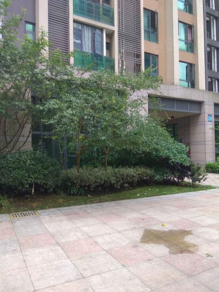 中天会展城b区b5组团,金朱东路-贵阳中天会展城b区b5组团二手房,租房