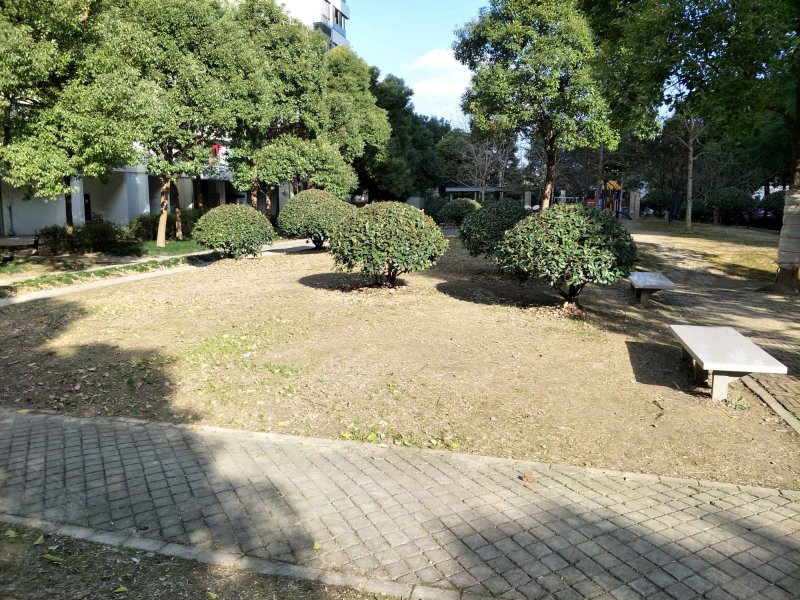 康桥半岛城中花园