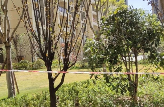 春江丽苑1室1厅46.61㎡40万二手房图片