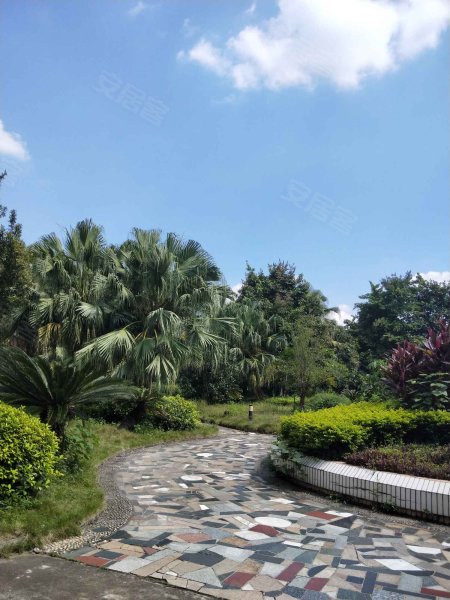 银湖花园,星湖路南三里2号-南宁银湖花园二手房,租房,房价-南宁安居客