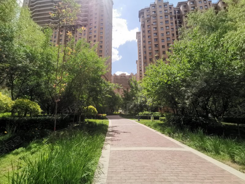 马德里春天(一期)