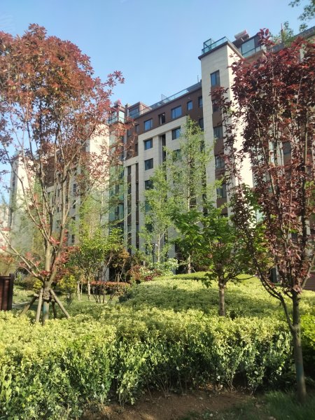 安泰德园,济宁路-日照安泰德园二手房,租房,房价-日照安居客