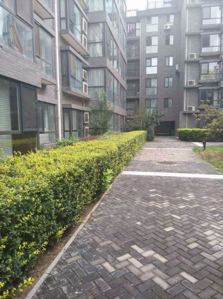 唐缘,吉祥里209号-北京唐缘二手房,租房,房价-北京安居客