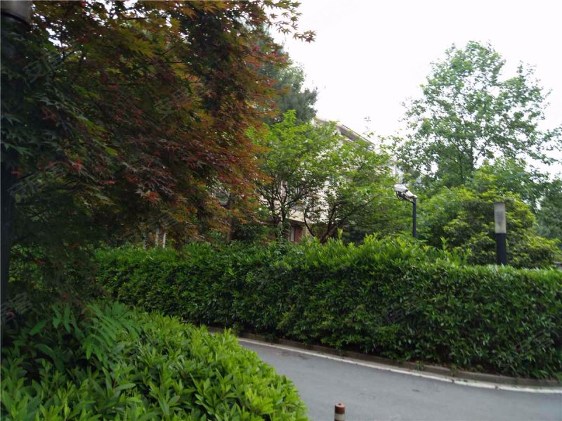 闲林山水丹枫苑