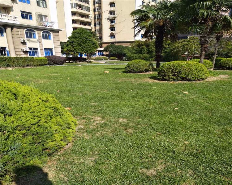 珠江玫瑰花园(公寓住宅) 