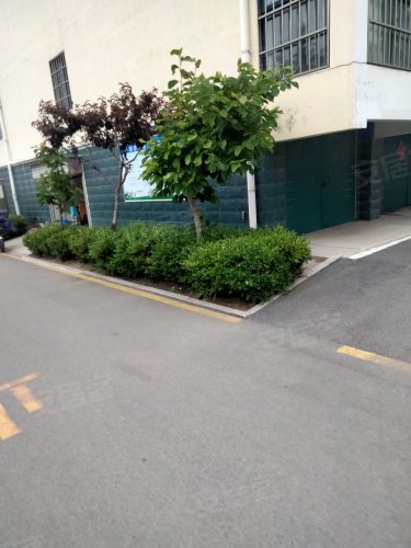 靳家园小区,青年中路 - 莒县靳家园小区二手房,租房,房价-莒县安居客