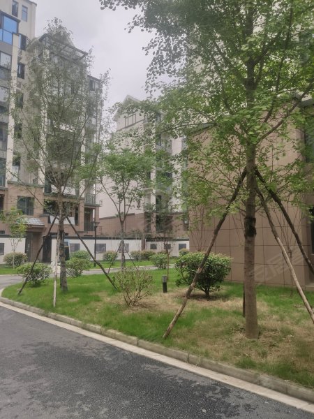 南城六号公馆,市场路6号-荆州南城六号公馆二手房,租房,房价-荆州安居