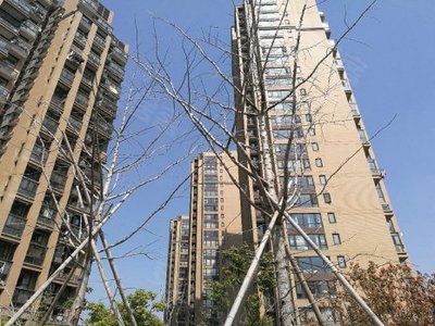 金地自在城东苑(公寓住宅)小区图片相册,杭州金地自在城东苑(公寓住宅