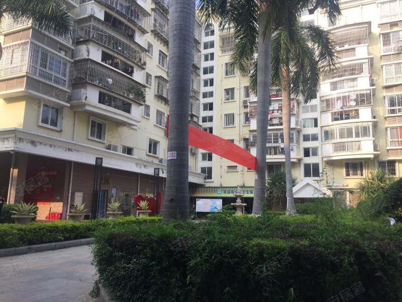 芙蓉苑,嘉园路41,207-273,277-317号-厦门芙蓉苑二手房,租房,房价