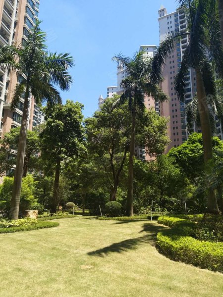 朝南维港新天地,燕湖新城静福路12号-清远朝南维港新天地二手房,租房