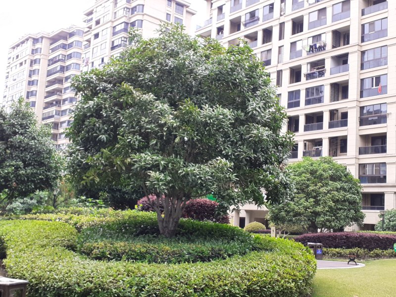 滨江稽山翡翠园(商住楼)