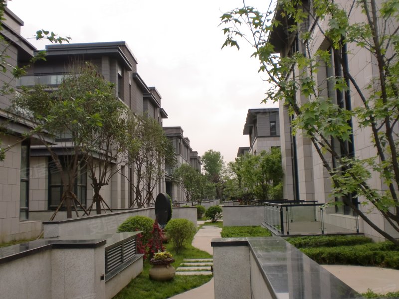 金地湖城大境(别墅)