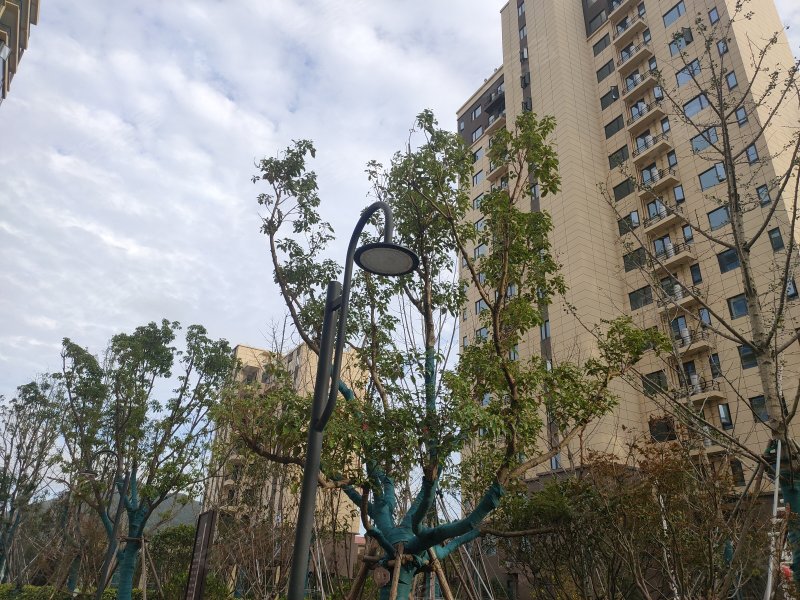 江南印象,泽国大道475号-台州江南印象二手房,租房,房价-台州安居客