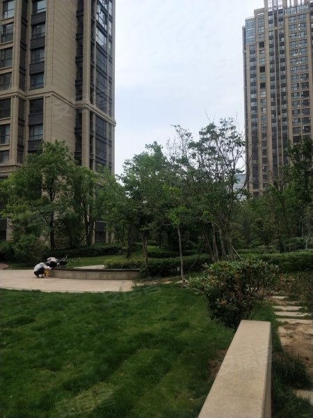 信华城,神火大道-商丘信华城二手房,租房,房价-商丘安居客