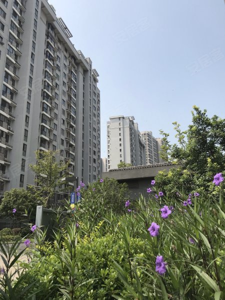 森林半岛,马鞍山路-昆山森林半岛二手房,租房,房价-昆山安居客