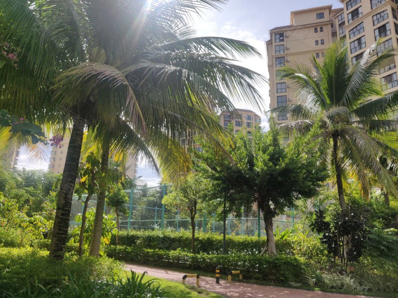 三亚金棕榈,榆亚路20号-三亚三亚金棕榈二手房,租房,房价-三亚安居客