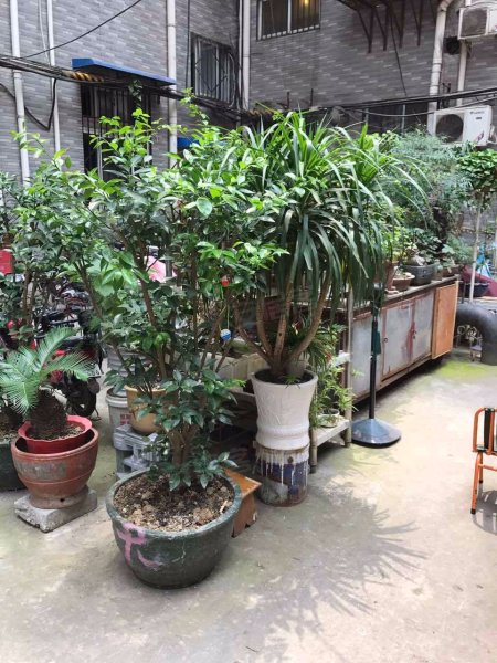 吉庆家园,大智路5号