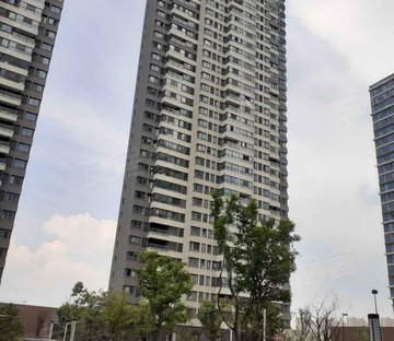 招商1872依云华府 出行方便 电梯房 正规商品房