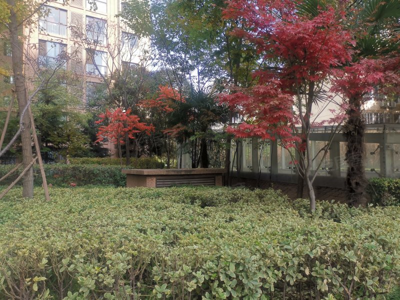 白桦林明天(北区),含元路,近建华路-西安白桦林明天(北区)二手房,租房