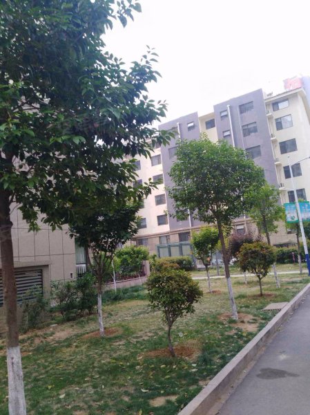 景城花园(费县)