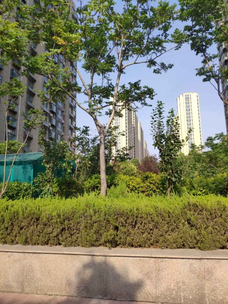 八里庄盛世华园,长河大道-德州八里庄盛世华园二手房,租房,房价-德州