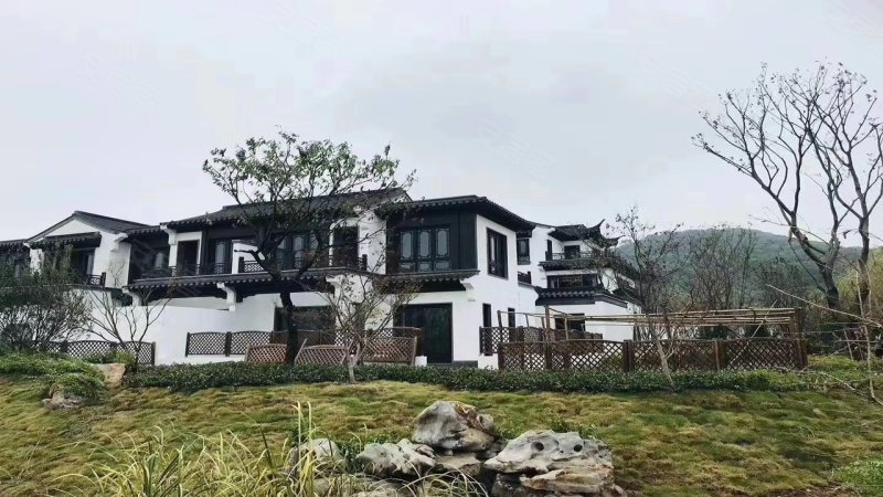 桃李春风