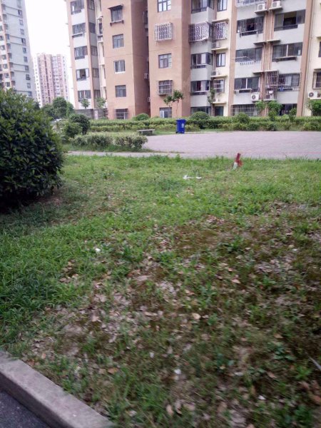 鹤沙航城昱丽家园 