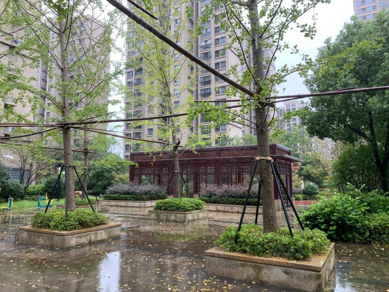 青枫雅苑,青雅路265号-宁波青枫雅苑二手房,租房,房价-宁波安居客