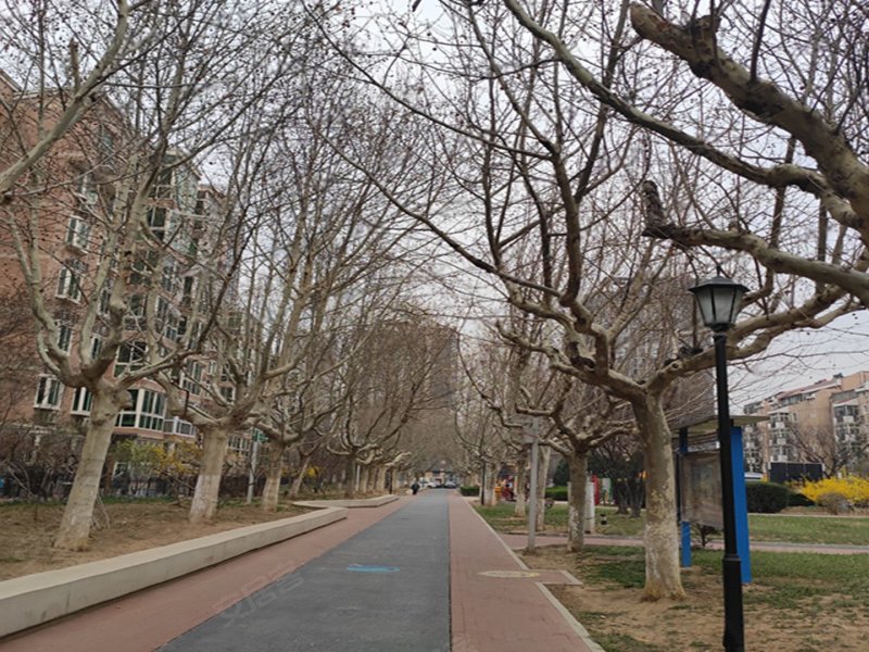 武夷花园紫荆园