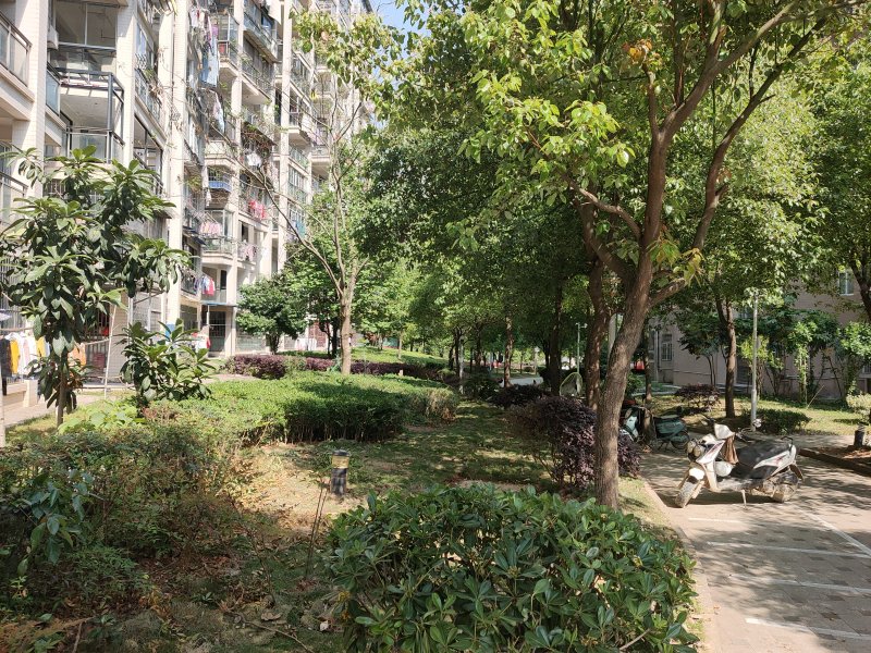 尚东国际,景东大道1号-景德镇尚东国际二手房,租房,房价-景德镇安居客