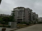 临溪花园装修  的1.5楼精装修设施齐全采光好证满边套