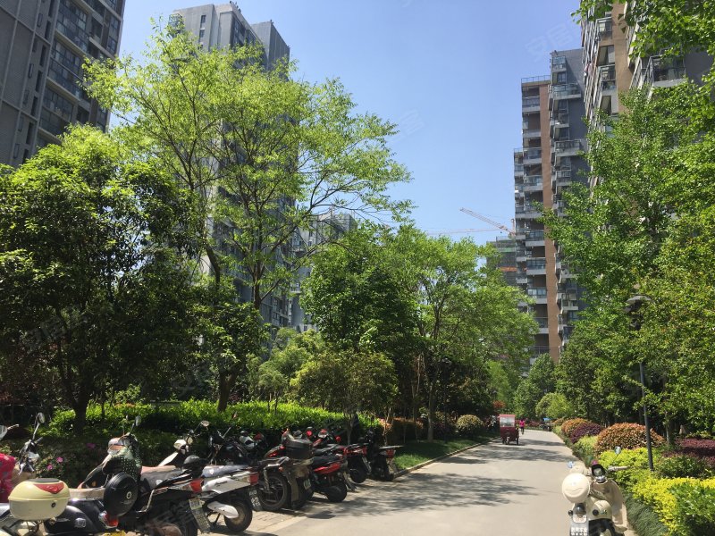 家天下(二期),颍河路-合肥家天下(二期)二手房,租房,房价-合肥安居客