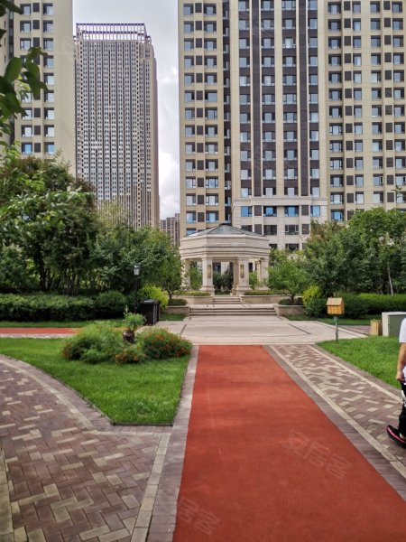 中海紫御观邸,朗江路,近群力大道-哈尔滨中海紫御观邸二手房,租房