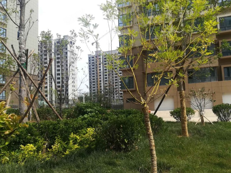 阳光水岸(巨野)