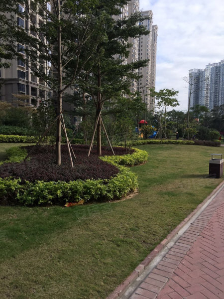 中骏愉景湾,江北大道36号-南安中骏愉景湾二手房,租房,房价-南安安居