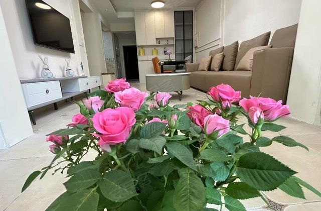香逸美地3室2厅80㎡39.6万二手房图片