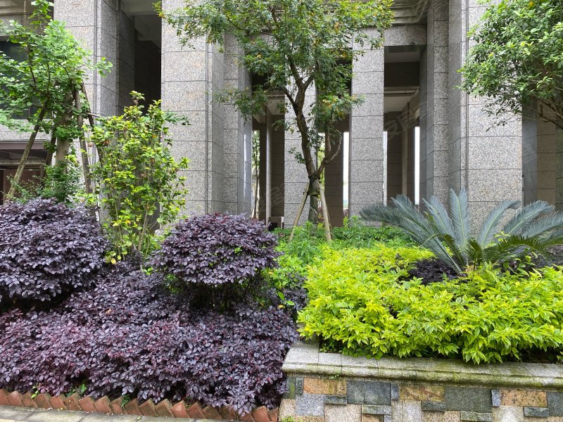 唐程御品,南湖滨路8号-宁德唐程御品二手房,租房,房价-宁德安居客