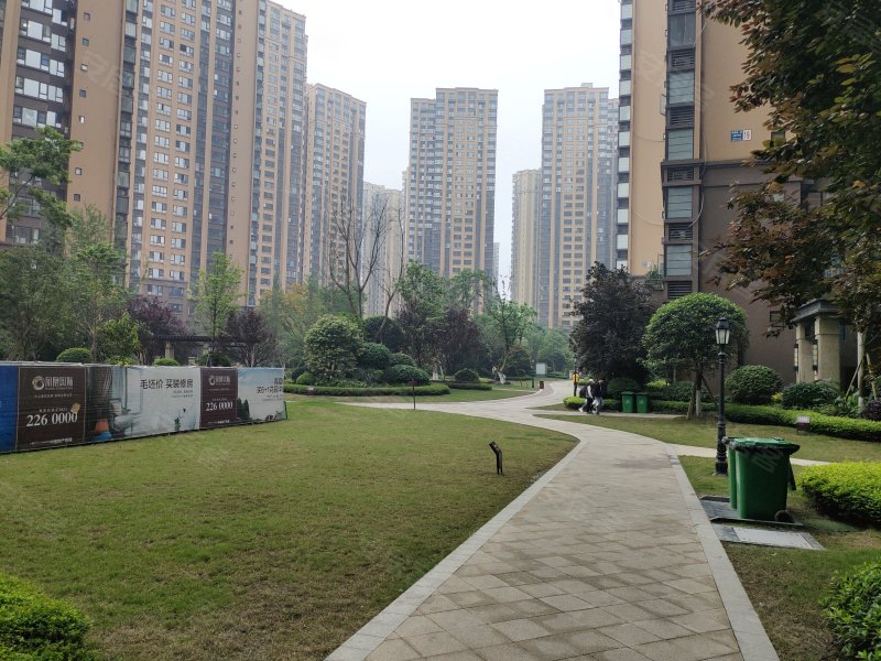 鸿通凤凰国际,三苏路,近瑞祥路-乐山鸿通凤凰国际二手房,租房,房价