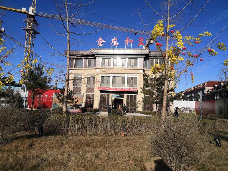金龙和玺