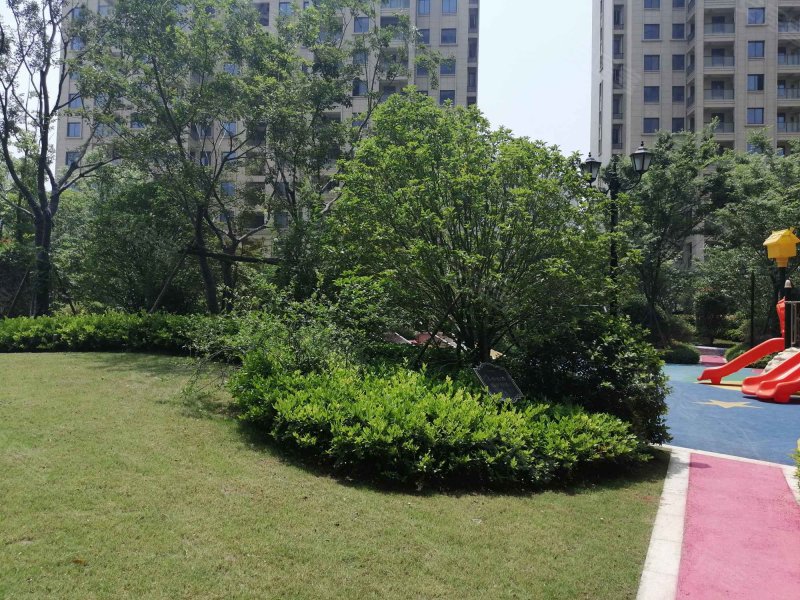 巨成悦湖湾,利东路,近环园路-嘉兴巨成悦湖湾二手房,租房,房价-嘉兴