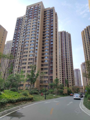 城建金河湾a区,塔寺南路286号,近荆河中路 - 滕州城建金河湾a区二手房